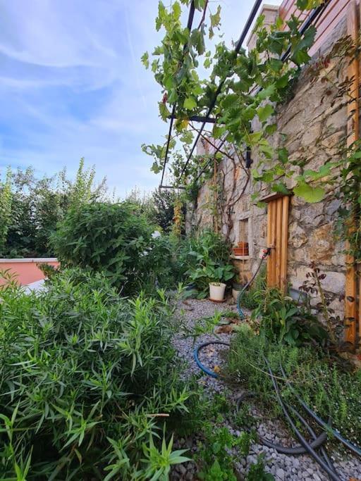 Hisa Idej Daire Sežana Dış mekan fotoğraf