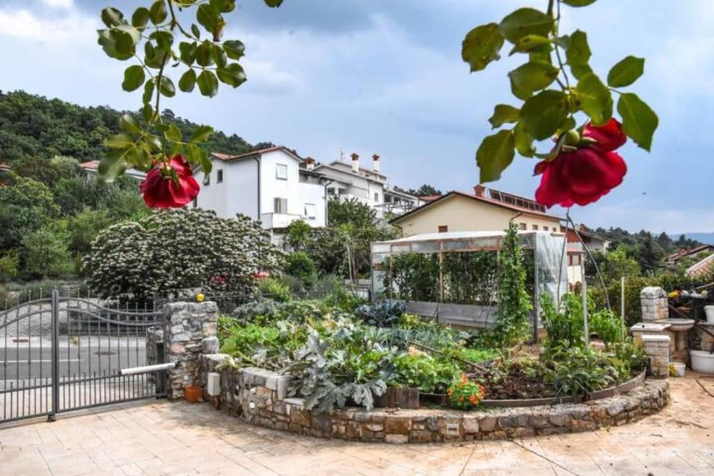 Hisa Idej Daire Sežana Dış mekan fotoğraf